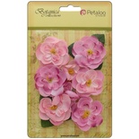 Набор цветов Petaloo - Botanica Ranunculus - Soft Pink