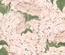 Лист бумаги от Galeria Papieru - UR 1 