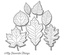 Левие My Favorite Things - Die-namics Falling Leaves, 7 штук (MFT-0529)
