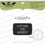 Набор акриловых штампов Lesia Zgharda TA110 Snap capture this moment