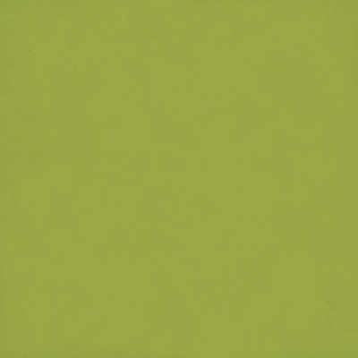 Лист скрапбумаги от Echo Park - Black / Lt. Green, 30х30 см