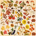 Лист с картинками для вырезания Autumn botanical diary 30,5х30,5 см, ТМ Фабрика Декора.