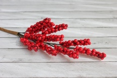 Веточка бузины от Scrapberry's, с красными ягодками
