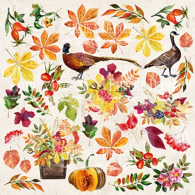 Лист с картинками для вырезания Botany autumn 20х20 см, ТМ Фабрика Декора