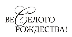 Акриловый штам  SR113b Веселого Рождества, размер 5х2,3 см