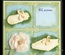 Лезвия от LeCreaDesign - Lea’bilitie® Special Occasion 2 cut &  embossing die