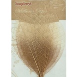 Скелетированные листики из каучукового дерева, 9х5,5см, набор 8 шт., медно-коричневые