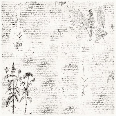 Деко веллум (лист кальки с рисунком) Botany Spring 1, ТМ Фабрика Декора