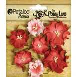 Набор объемных цветов (диких роз) Petaloo - Penny Lane Mini Wild Roses x7 - Antique Red