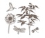 Лезвия и штампы - Sizzix - Framelits Die Set 5PK w/Stamp - Fern, 5 шт.