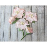 Набор цветов TM Iris - Blossom Персиковые, 5 шт