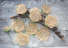 Набор цветов Royalty flowers Нежный персик, ТМ Iris, 9 шт