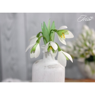 Набор цветов TM Iris - Подснежники, 5 шт