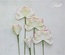 Набор цветов TM Iris - Vanille flowers Оттенки весны, цвет кремово-розовый, 5 шт