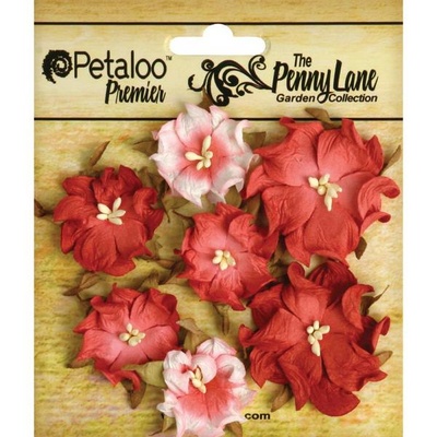 Набор объемных цветов (диких роз) Petaloo - Penny Lane Mini Wild Roses x7 - Antique Red