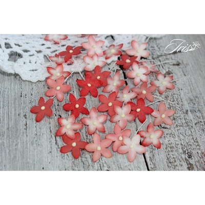 Набор цветов TM Iris - Little flowers красный, 15 мм, 30 шт