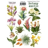 Набор наклеек (стикеров) 10 шт Botany exotic 204, ТМ Фабрика Декора