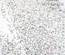 Краска 13arts - Ayeeda Paint - White & Silver Glitter