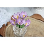Набор цветов TM Iris - Крокусы фиолетовые, 5 шт