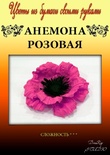 Набор тутовой бумаги для создания цветов - анемона розовая