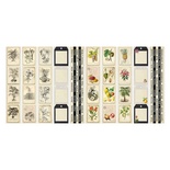 Набор полос с картинками для декорирования Botany exotic 5 шт 5х30,5 см, ТМ Фабрика Декора
