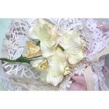 Набор цветов TM Iris - Vanille flowers Солнечный день, кремовые с желтым, 5 шт