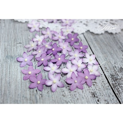 Набор цветов TM Iris - Little flowers фиолетовые, 15 мм, 30 шт
