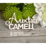 Чипборд ScrapBox - Надпись Альфа Самец Hy-025