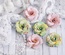 Набор цветов Freetany Flowers – Весенний сад-2