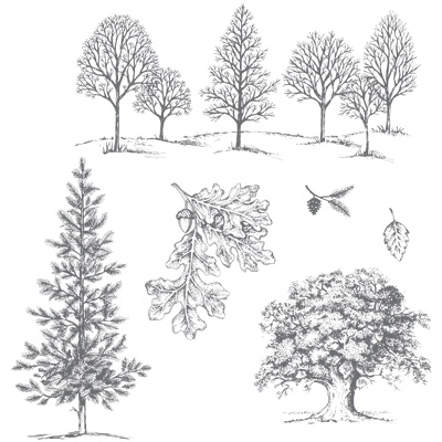 Набор резиновых штампов от Stampin'Up - Lovely As A Tree Clear-Mount Stamp Set