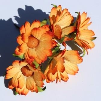 Оранжевые ромашки, 5 шт.