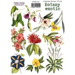 Набор наклеек (стикеров) 10 шт Botany exotic 210, ТМ Фабрика Декора