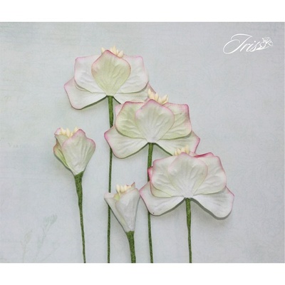 Набор цветов TM Iris - Vanille flowers Оттенки весны, цвет кремово-розовый, 5 шт
