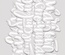Ацетатные высеченные слова c фольгированием (White) 12шт от Scrapmir