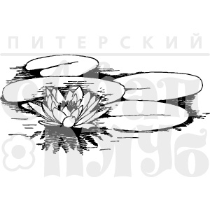 Акриловый штамп "Кувшинки"