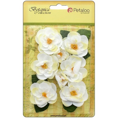 Набор цветов Petaloo - Botanica Ranunculus - White
