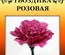Набор тутовой бумаги для создания цветов - гвоздика розовая