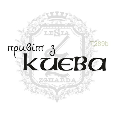 Акриловый штамп Lesia Zgharda T289b Привiт з КИЄВА
