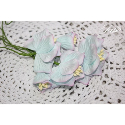 Набор цветов TM Iris - Vanille flowers Северное сияние, голубые с розовым, 5 шт