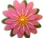 Лезвие Daisy Strip от Cheery Lynn Designs, 6 шт.