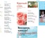 Журнал Скрап-Инфо, №6-2012 (синтез скрапбукинга и других видов творчества)