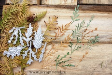 Набор ножей для вырубки от Scrapfriend - Вивьен, 6 штук