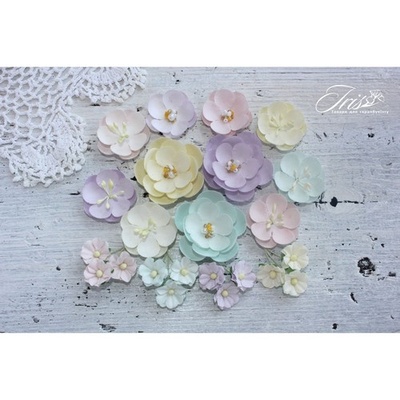 Набор цветов TM Iris - Anemone Baby Shabby, 23 шт