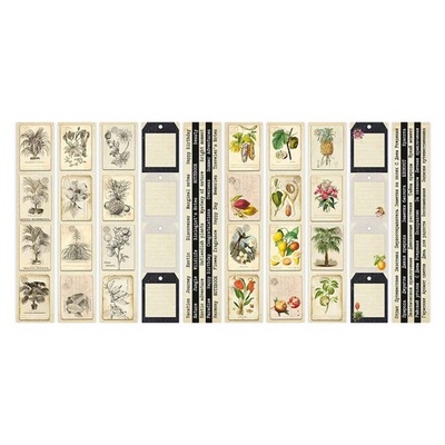 Набор полос с картинками для декорирования Botany exotic 5 шт 5х30,5 см, ТМ Фабрика Декора