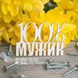 Чипборд ScrapBox - 100% мужик Hi-225