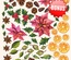 Набор бумаги 20Х20 Botany winter, ТМ Фабрика Декору