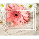 Чипборд ScrapBox - Барокко рамка большая Hr-101
