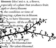 Резиновый штамп от Memory Box -  Blossom Branch