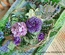 Набор цветов Freetany Flowers – Крокусы