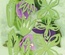 Лезвия от LeCreaDesign - Multi Die Flower 001, 8 элементов
